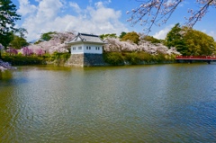 吹き渡る桜風