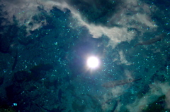 清澄な池の宇宙