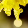 雨に濡れて５