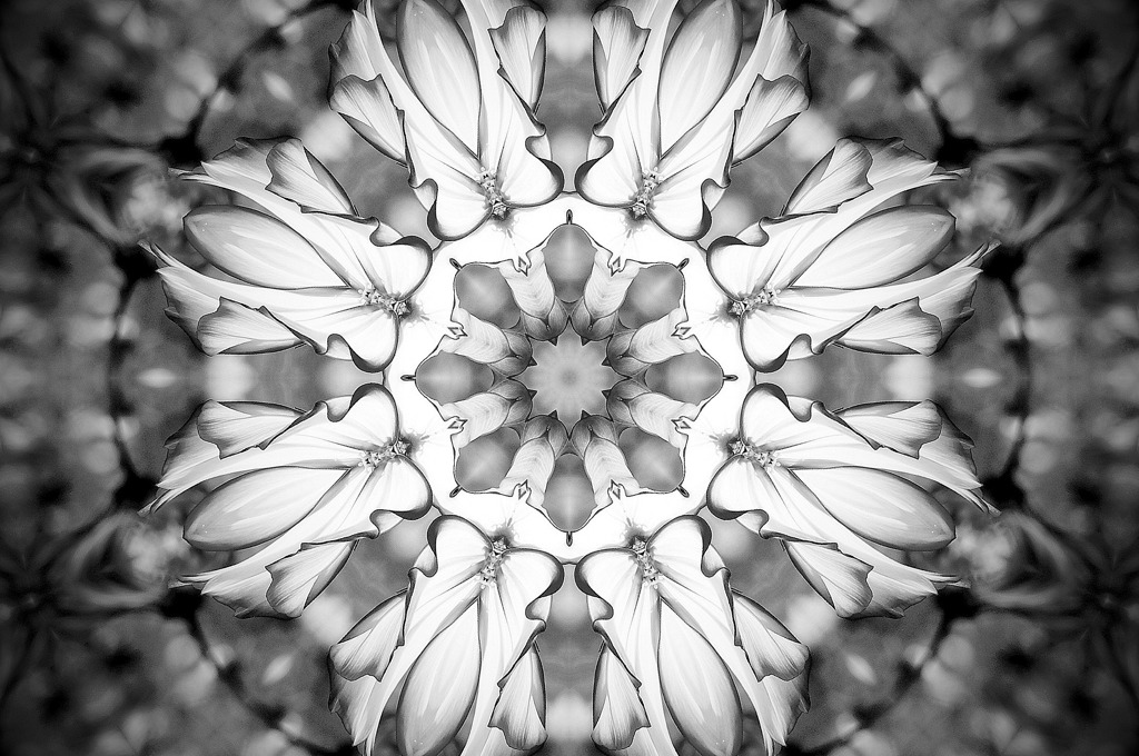 Flower of Medal３