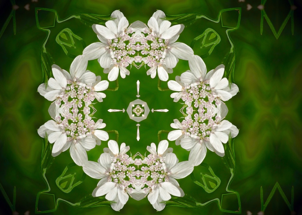 花の紋章3