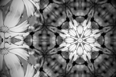 Flower of Medal４
