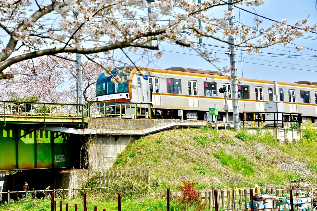 春の鉄道風景