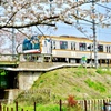 春の鉄道風景