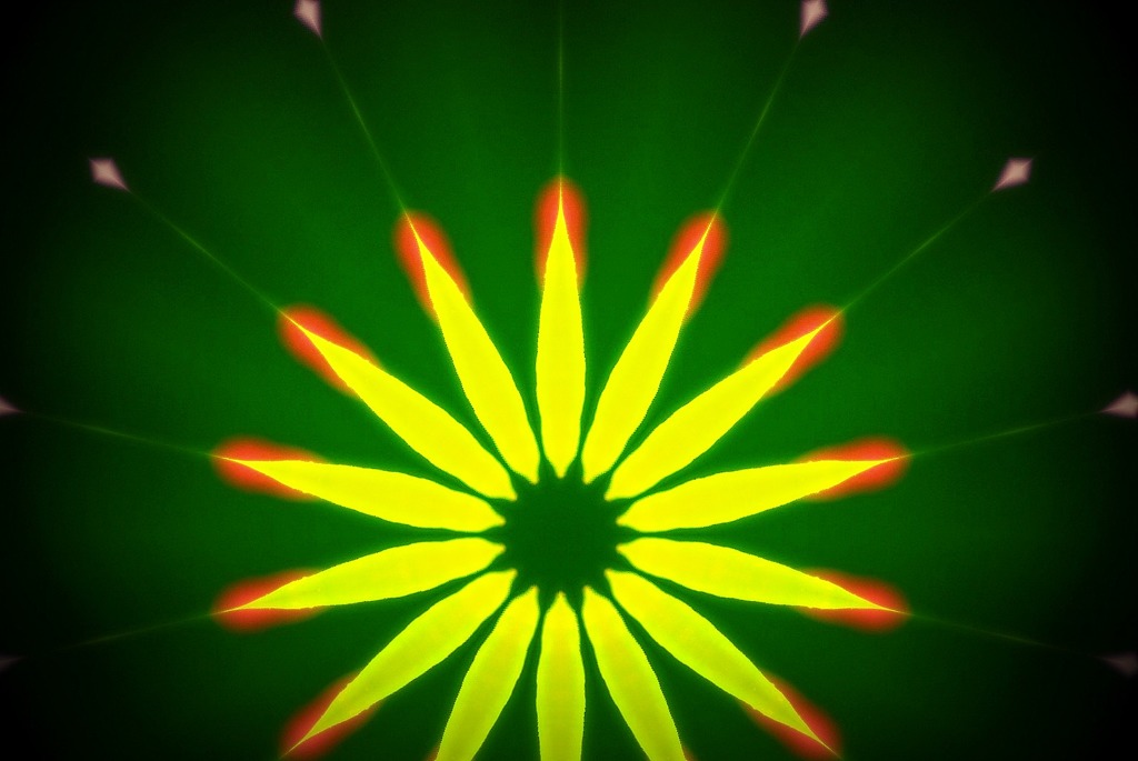 花火花（Fireworks flower）３