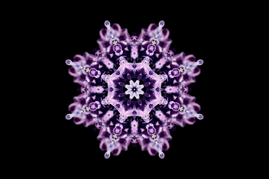 宝花2