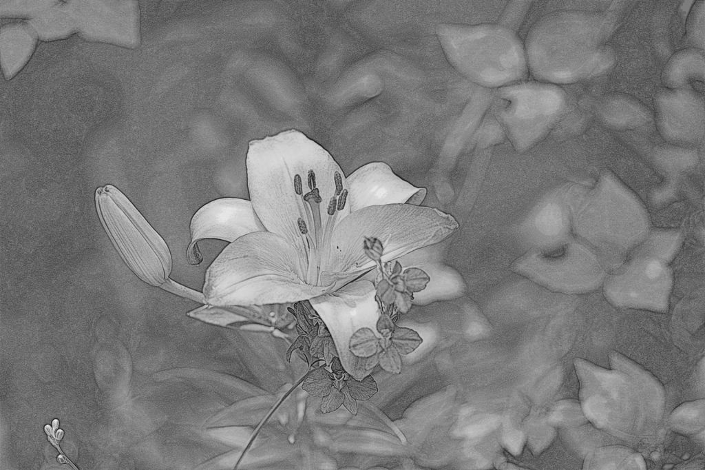 華やかに３