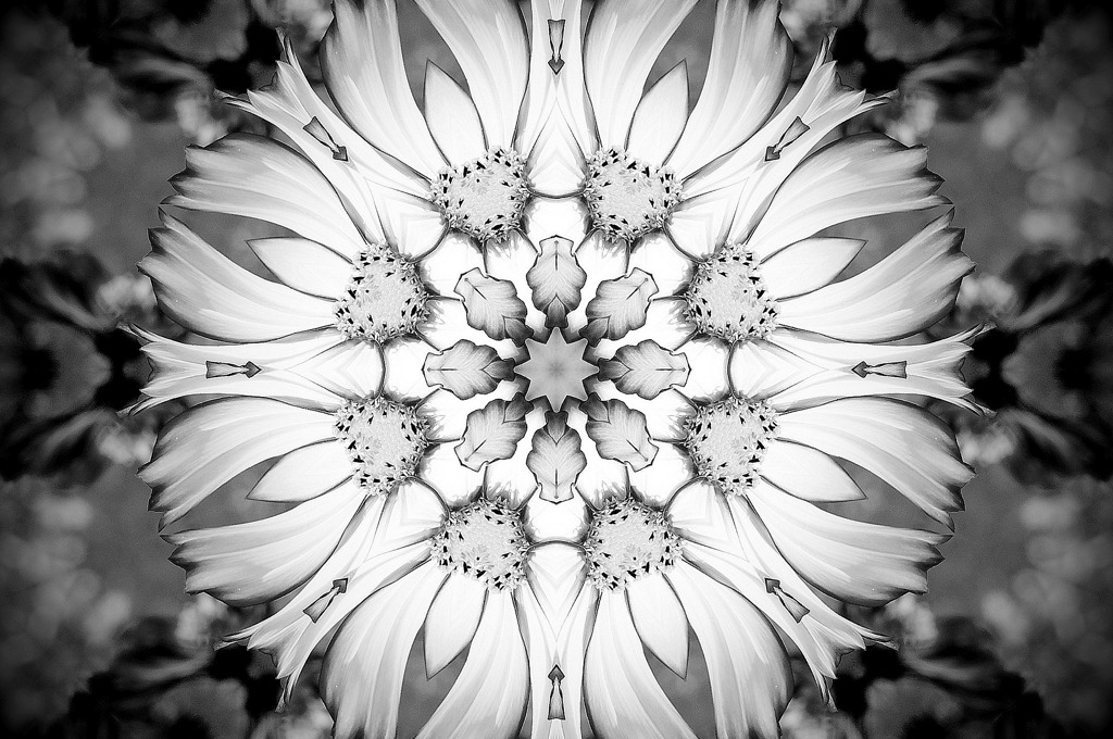 Flower of Medal５