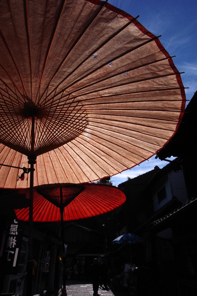 小江戸散歩その一（2009年11月）