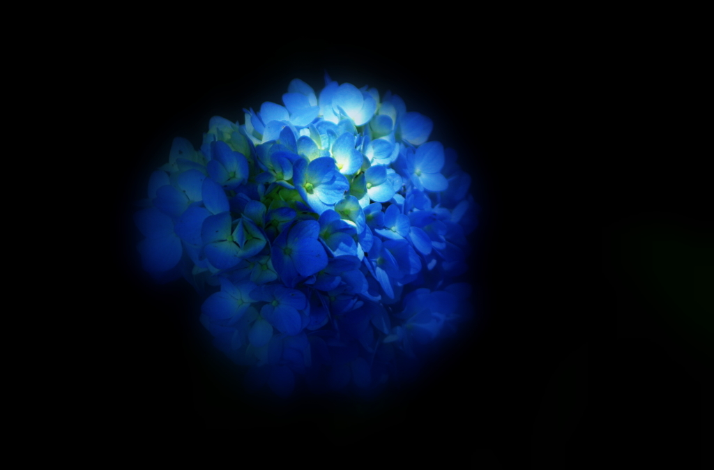 花灯
