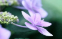 Inconstancy
