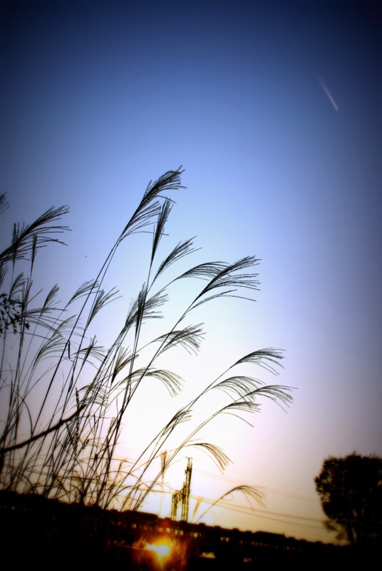 秋の夕暮時