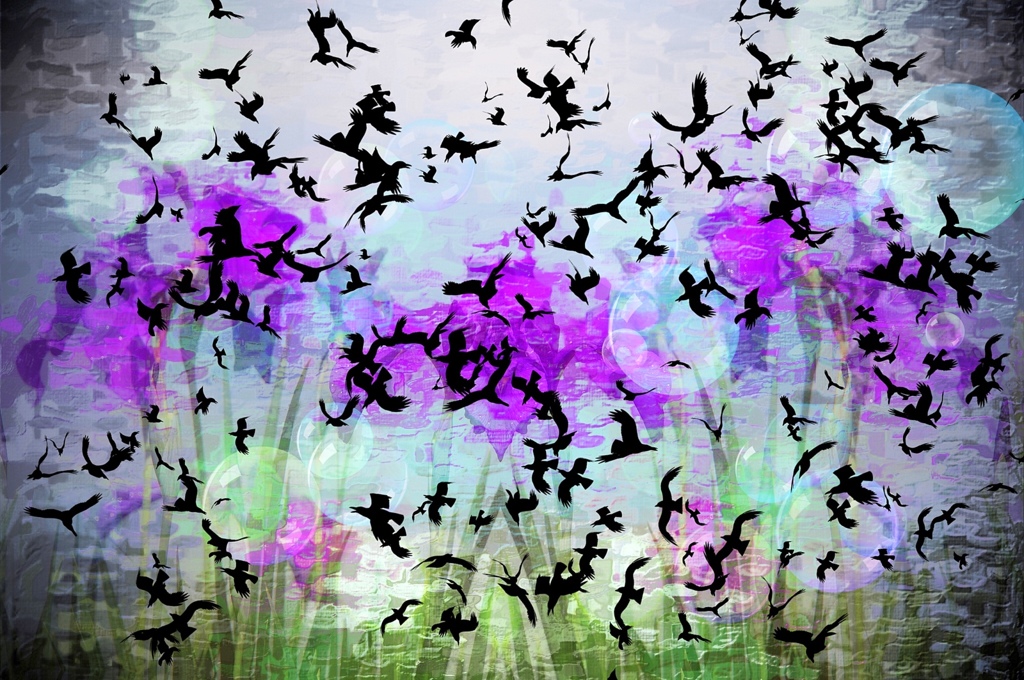 The Birds