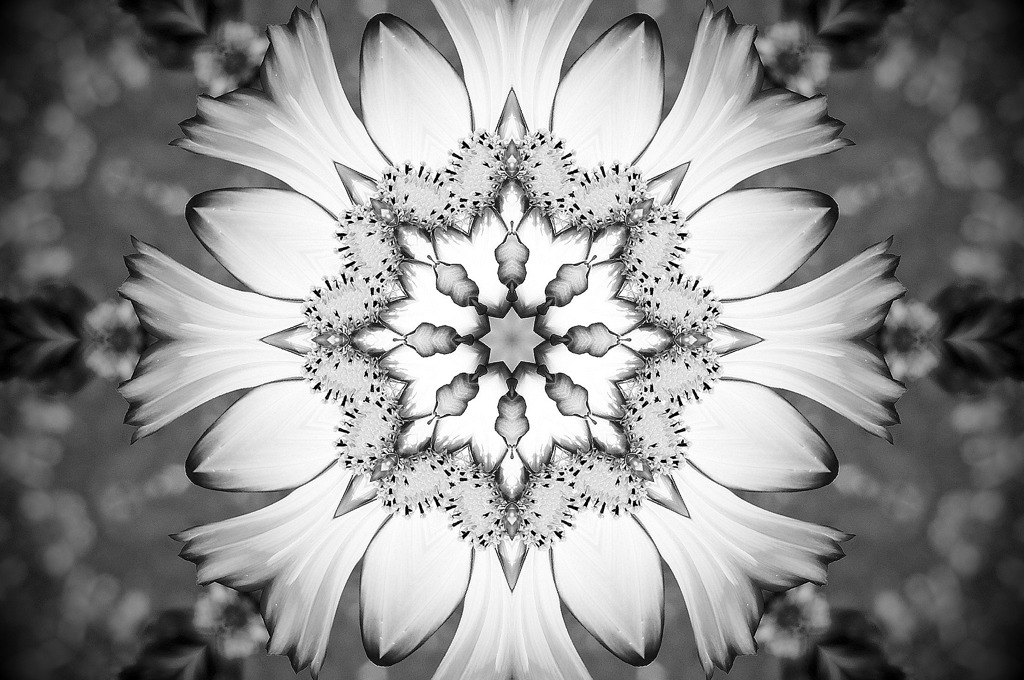 Flower of Medal１