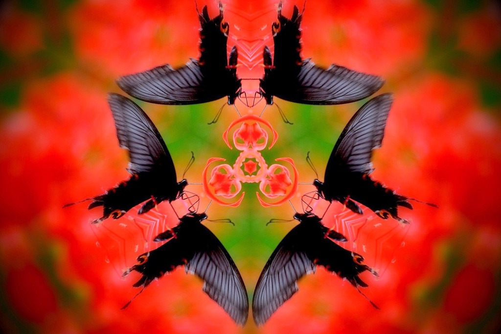 紅と黒