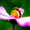 蜜の味・・・ゴチ