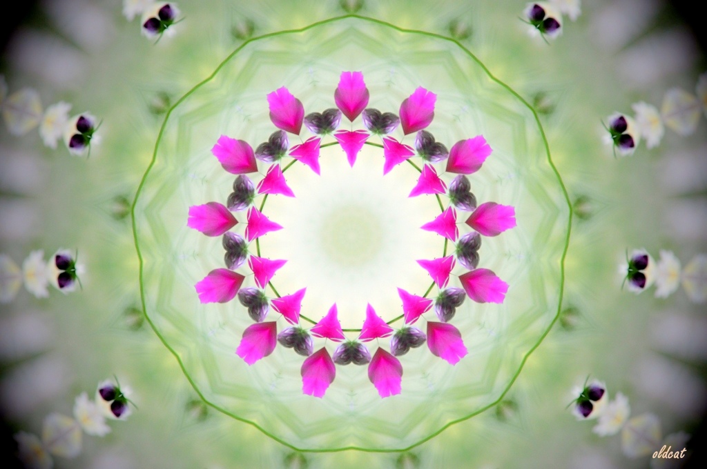 Flower dish１
