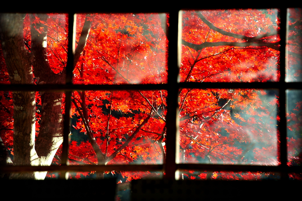 窓の秋