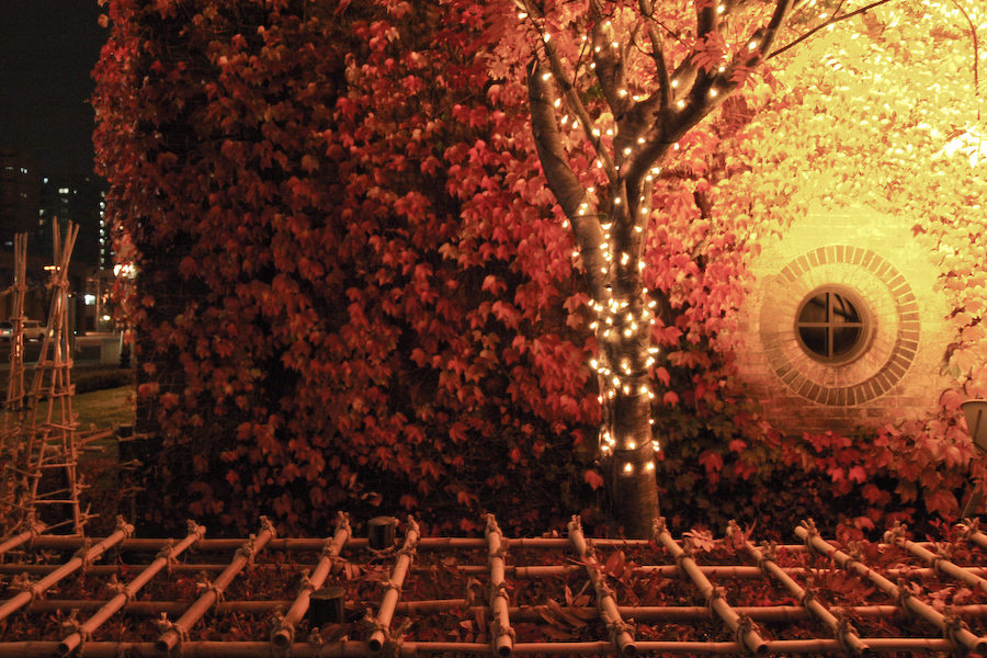 20081116165751_pb141815-2