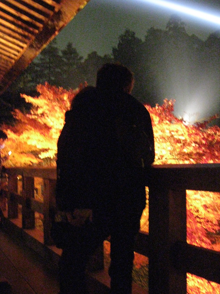 つないだ手