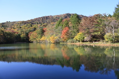 茶臼山の湖