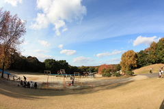 森林公園