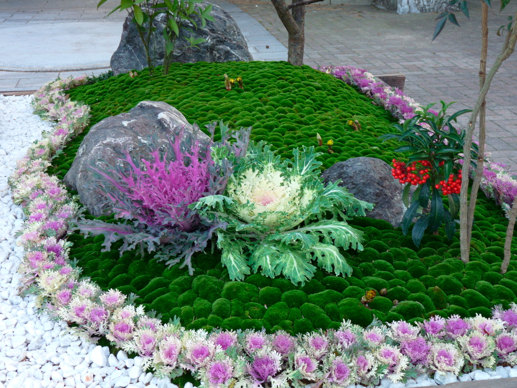 庭園