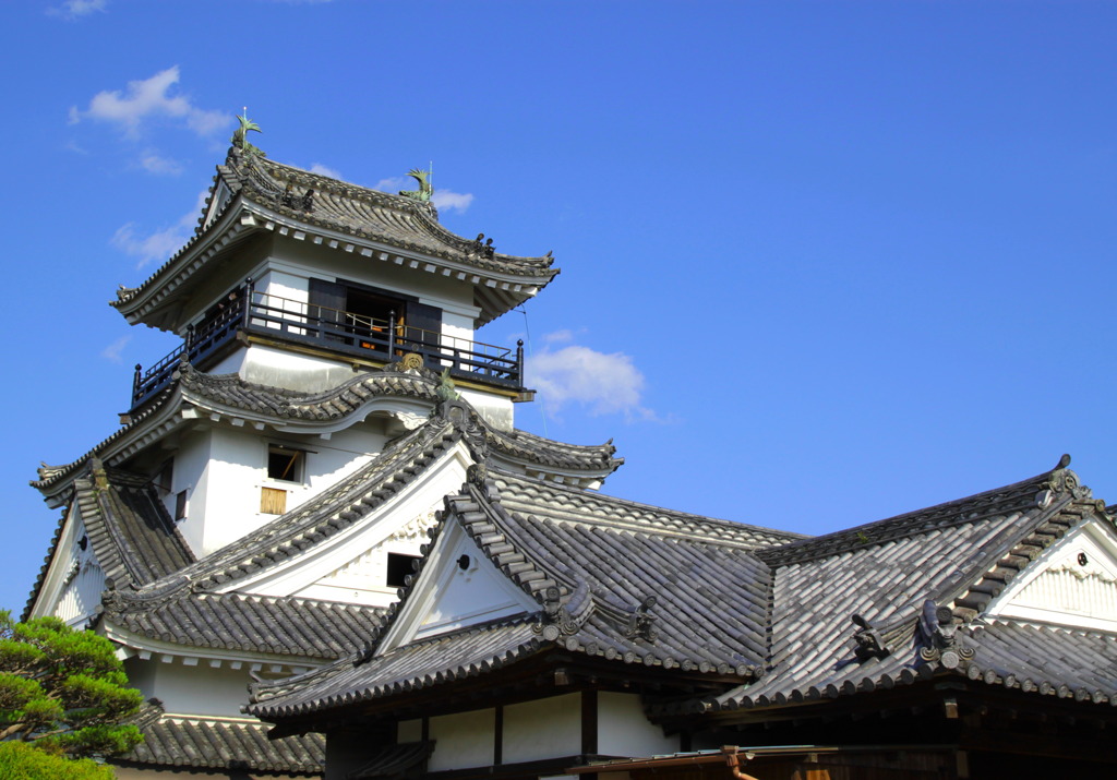 高知城と青い空