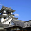 高知城と青い空