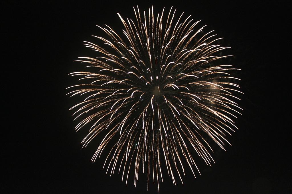 2009年とりで利根川大花火(3)
