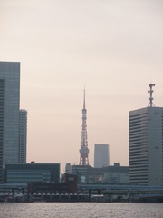 海からの東京タワー