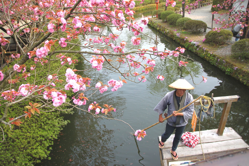 江戸の贅沢