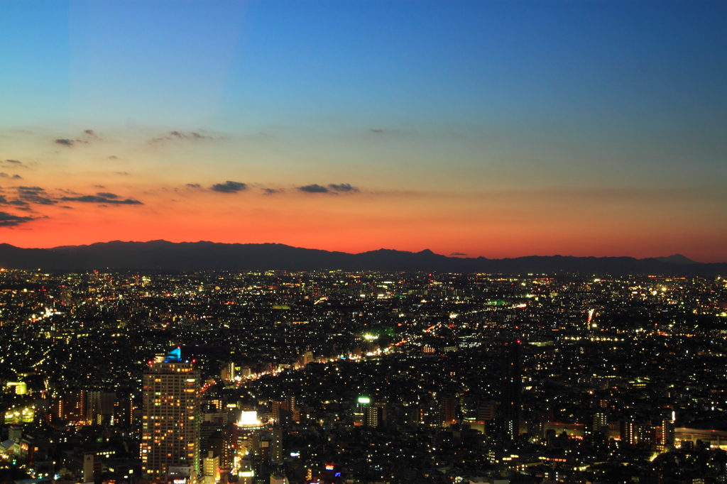 東京の夕景