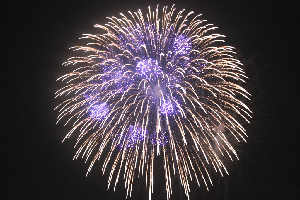 2009年とりで利根川大花火(1)
