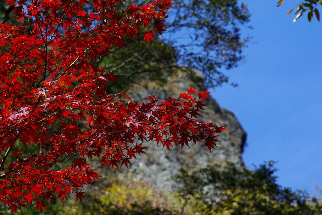 黒髪山の紅葉