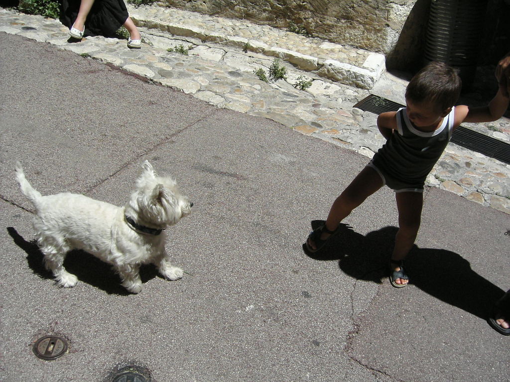 070706_chien et enfant_nice