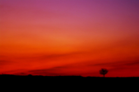 夕焼け