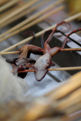 本溪(・∀・)ｶｴﾙ!!