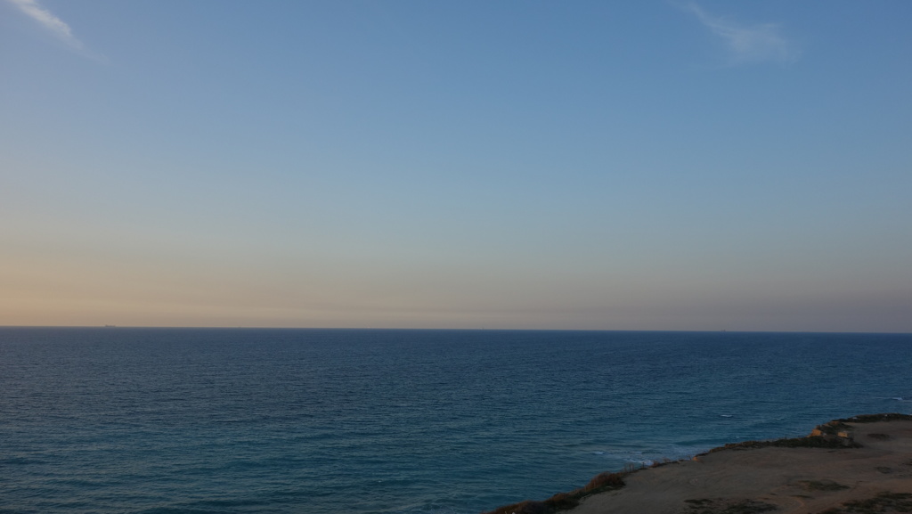 DSC00800
