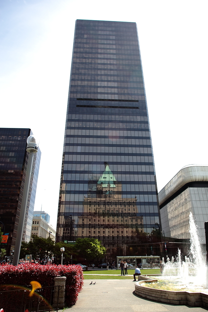 DPP_0536