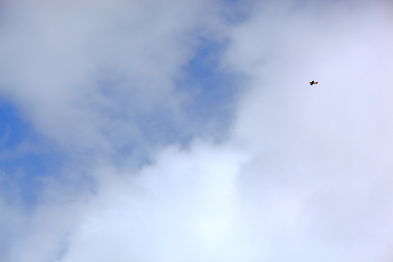 空