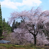 安曇野　万願寺　①