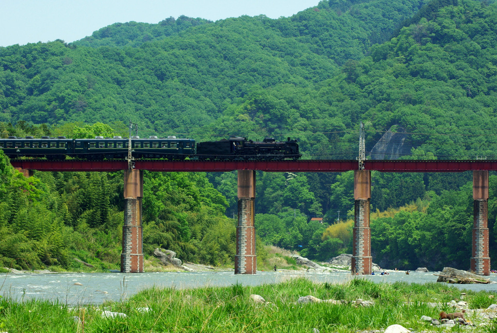 新緑の荒川・長瀞