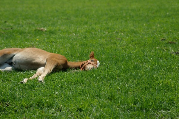 ZZZ・・・