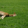 ZZZ・・・