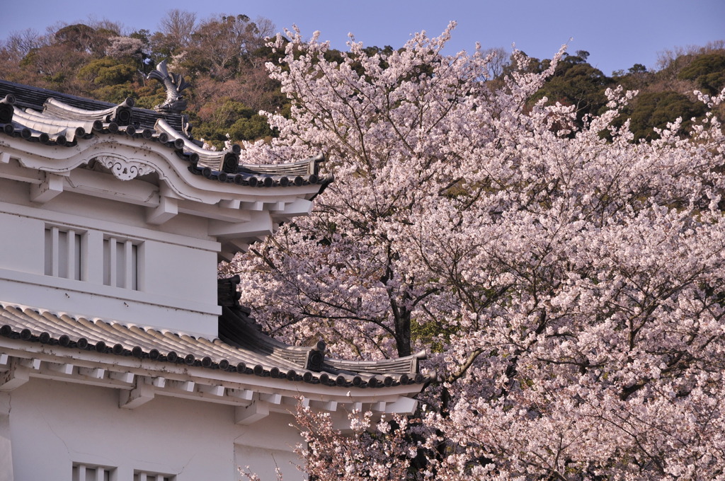 龍野城
