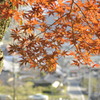 紅葉と栗栖の町