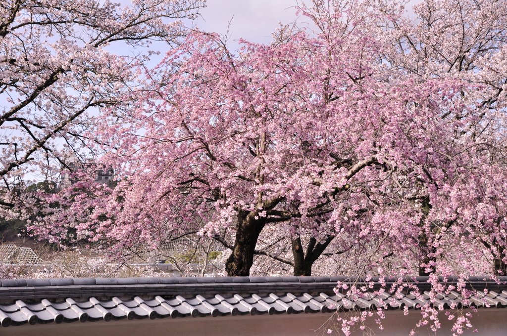 城壁