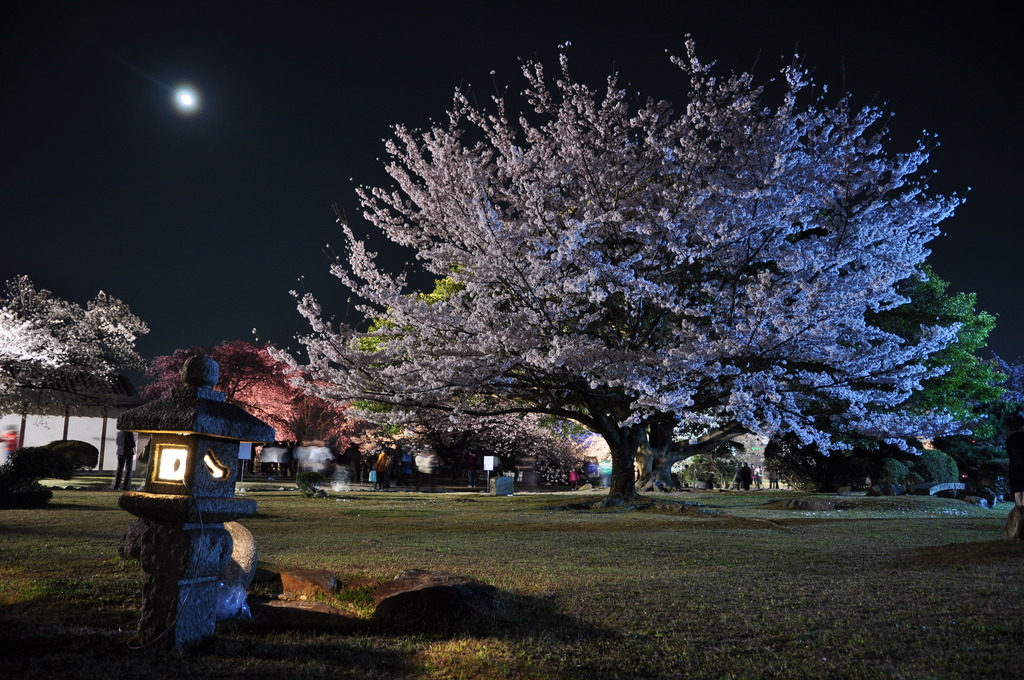 西の丸庭園