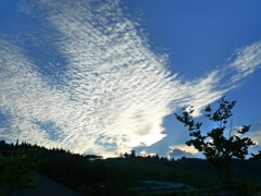 翼をひろげた雲